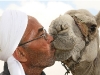 have a kiss with a camel