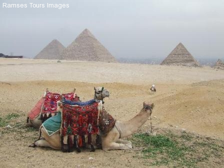 giza pyramids camels tours