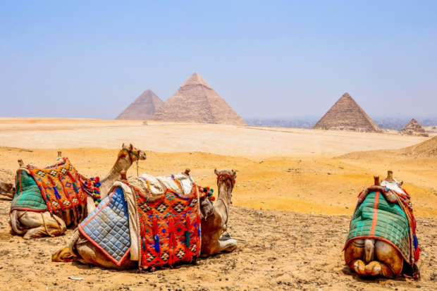 small group tours to egypt