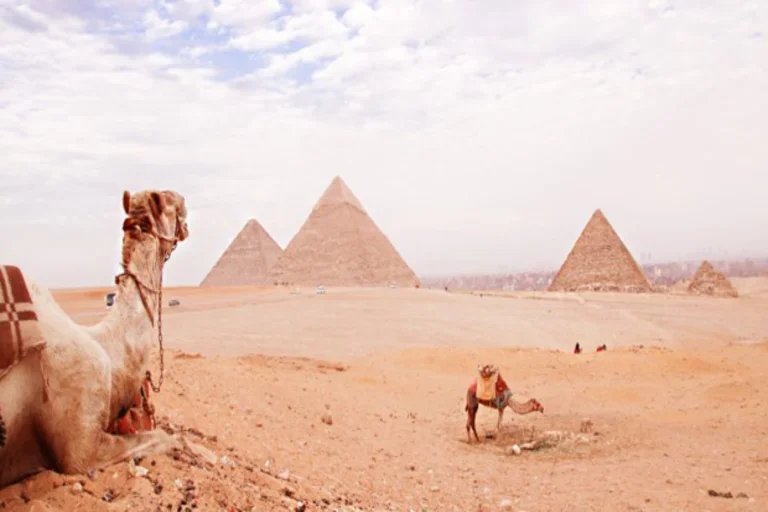 Camels resting in the desert with a scenic view of Giza Pyramids, a perfect spot for a historic vacation experience in Egypt.