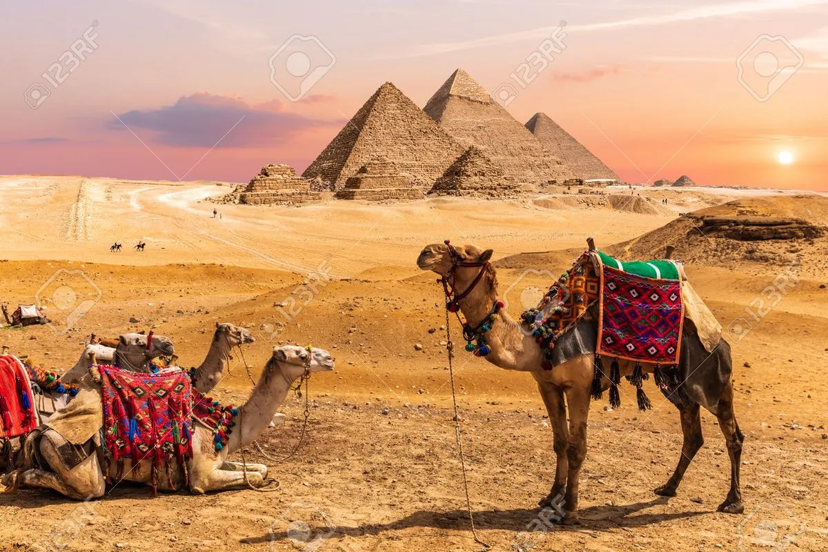 Cairo airport arrival tour at pyramids plateau