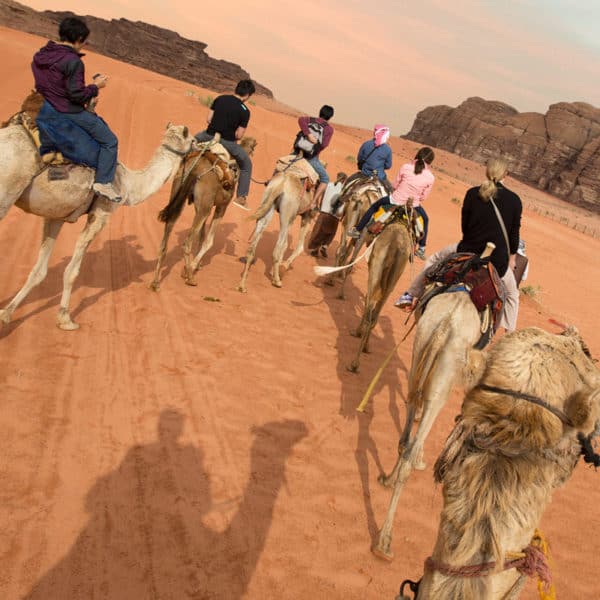 Egypt desert safari